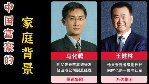 国内富豪家庭背景