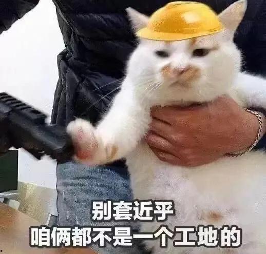 嚣张表情包,网络时代的“表情武器”